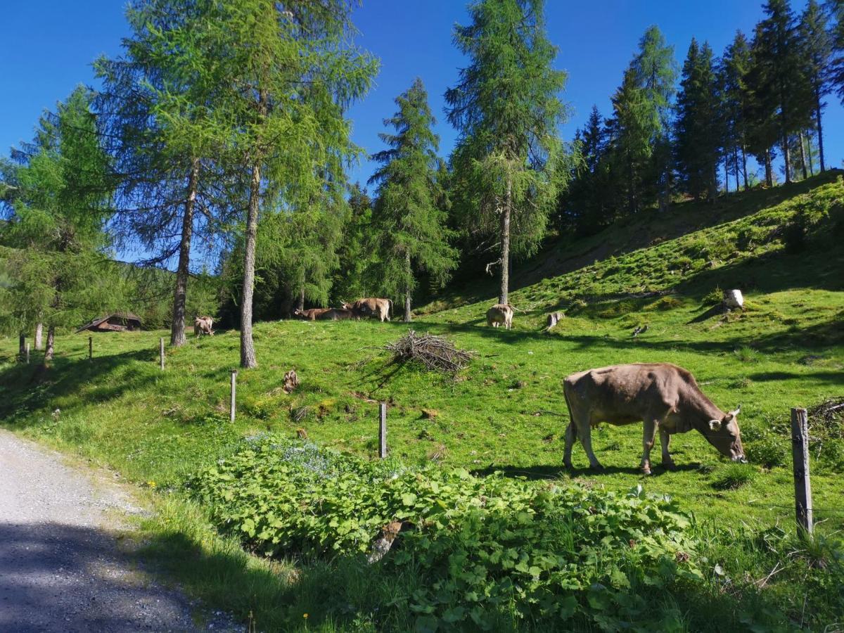 Haus Klinsterwald Занкт-Освальд Екстер'єр фото